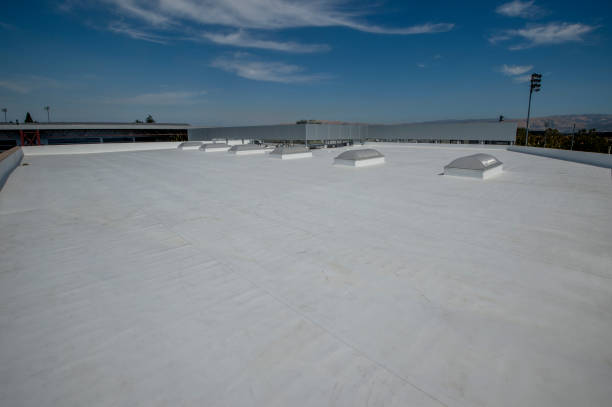 Best Green or Eco-Friendly Roofing Solutions  in El Jon, CA