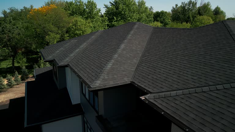 Best Metal Roofing Installation  in El Jon, CA