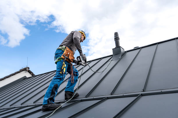 Best Asphalt Shingle Roofing  in El Jon, CA