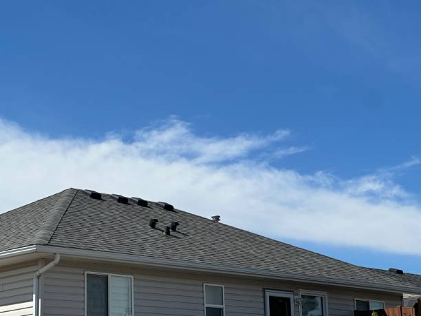 Best Roof Ventilation Installation  in El Jon, CA